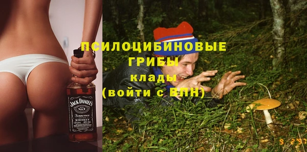 амф Абдулино