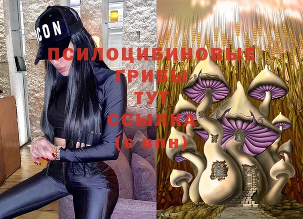 дурь Абаза