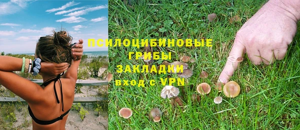 амф Абдулино