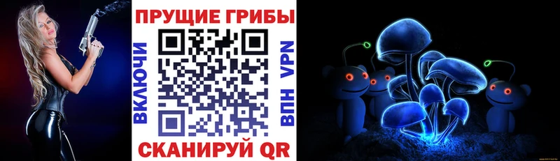 наркотики  Усть-Катав  Псилоцибиновые грибы мицелий 